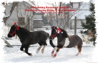 Karcsonyi lovagls s nnepsg 2014.12.27